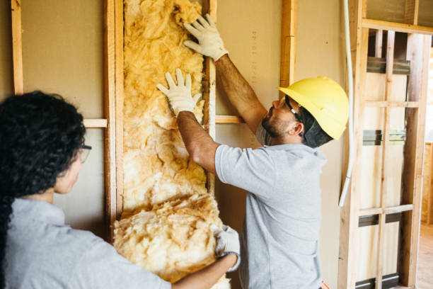 Best Cellulose Insulation  in Hinton, OK